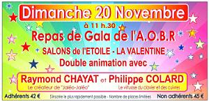 2016 11 20 MARSEILLE REPAS DE GALA AVEC L AOBR-AMBIANCE